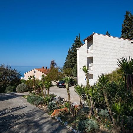 Apartments Silence Mlini Εξωτερικό φωτογραφία
